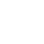 VICE 24